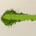 Haus Reserve Matcha 2 pack Bundle